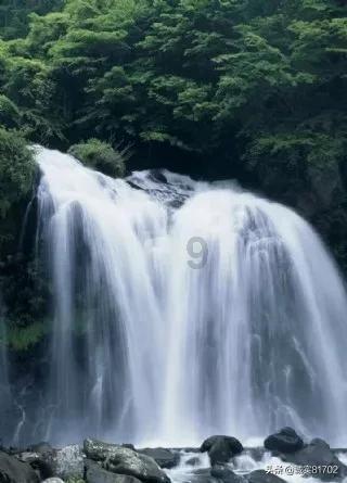逗小猴开心系列189
