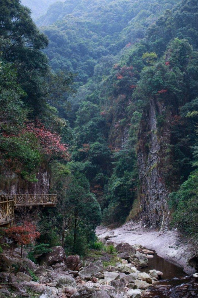 跳跃的木偶